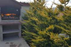 b7cc6214-eea9-4389-8c6a-01ce58bab8c0